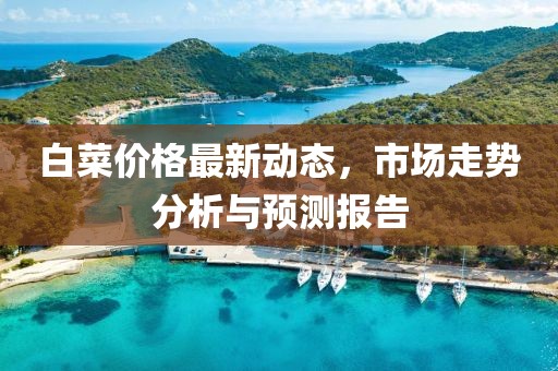 白菜價(jià)格最新動(dòng)態(tài)，市場(chǎng)走勢(shì)分析與預(yù)測(cè)報(bào)告