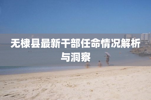 無棣縣最新干部任命情況解析與洞察