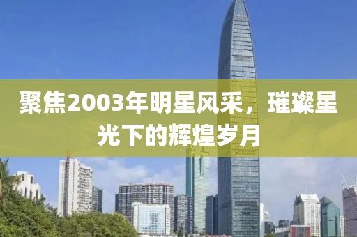 聚焦2003年明星風采，璀璨星光下的輝煌歲月