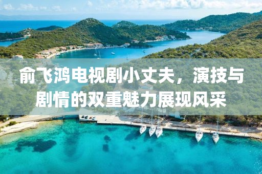 俞飛鴻電視劇小丈夫，演技與劇情的雙重魅力展現風采