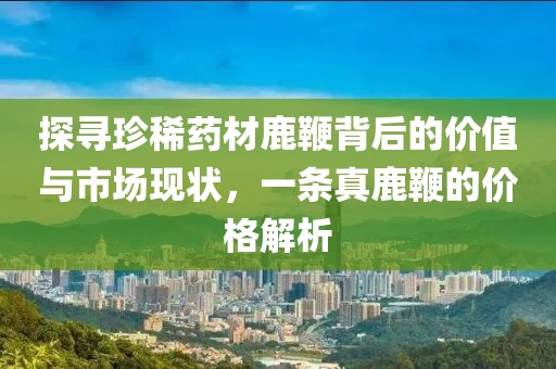 探尋珍稀藥材鹿鞭背后的價值與市場現(xiàn)狀，一條真鹿鞭的價格解析