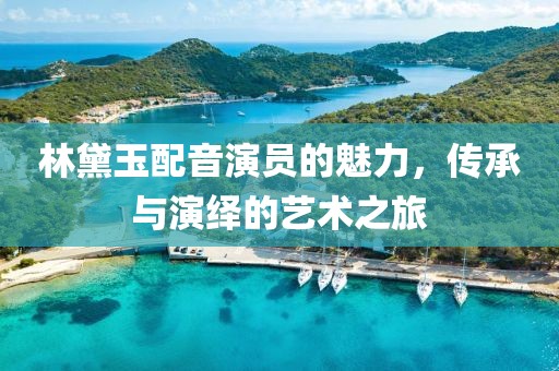 林黛玉配音演員的魅力，傳承與演繹的藝術之旅
