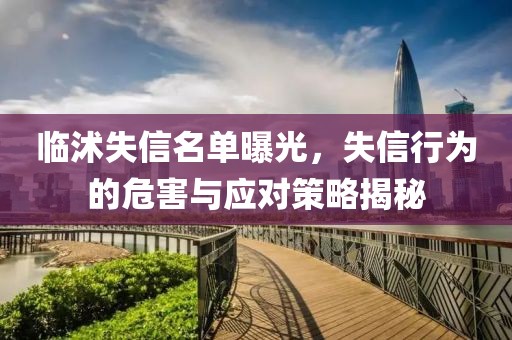 臨沭失信名單曝光，失信行為的危害與應(yīng)對策略揭秘