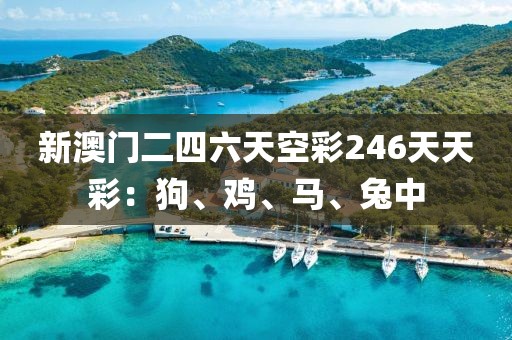 新澳門二四六天空彩246天天彩：狗、雞、馬、兔中