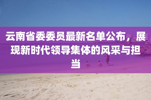 云南省委委員最新名單公布,展現(xiàn)新時(shí)代領(lǐng)導(dǎo)集體的風(fēng)采與擔(dān)當(dāng)