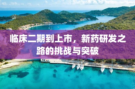 臨床二期到上市，新藥研發(fā)之路的挑戰(zhàn)與突破