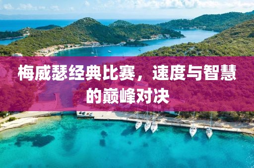 梅威瑟經(jīng)典比賽，速度與智慧的巔峰對決