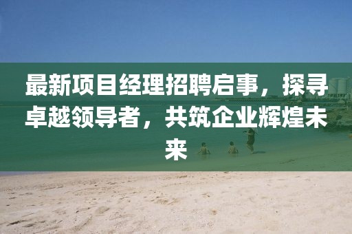 最新項(xiàng)目經(jīng)理招聘啟事，探尋卓越領(lǐng)導(dǎo)者，共筑企業(yè)輝煌未來