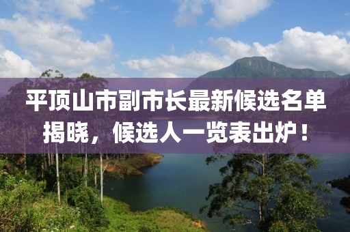 平頂山市副市長最新候選名單揭曉，候選人一覽表出爐！
