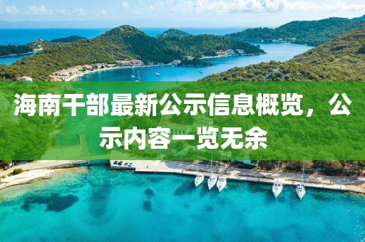 海南干部最新公示信息概覽，公示內(nèi)容一覽無(wú)余