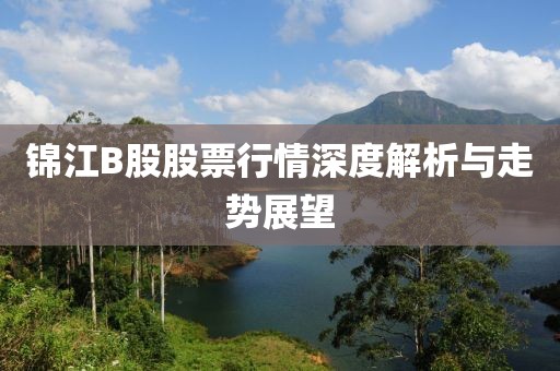 錦江B股股票行情深度解析與走勢(shì)展望