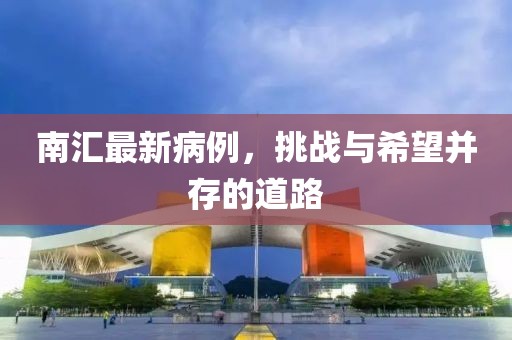 南匯最新病例,挑戰(zhàn)與希望并存的道路