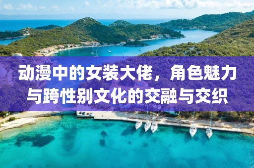 動漫中的女裝大佬,角色魅力與跨性別文化的交融與交織