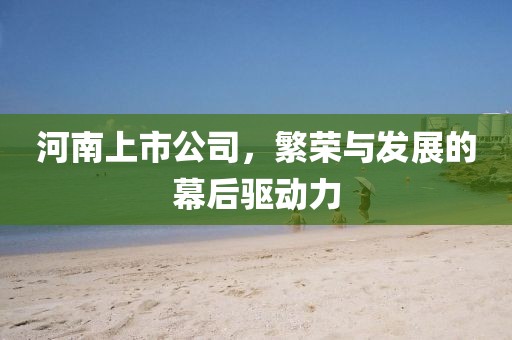 河南上市公司，繁榮與發(fā)展的幕后驅(qū)動(dòng)力