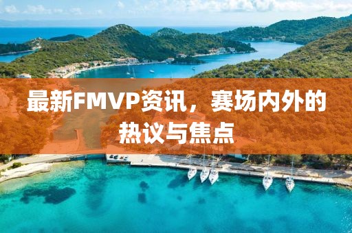 最新FMVP資訊，賽場(chǎng)內(nèi)外的熱議與焦點(diǎn)