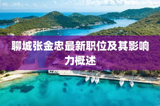 聊城張金忠最新職位及其影響力概述