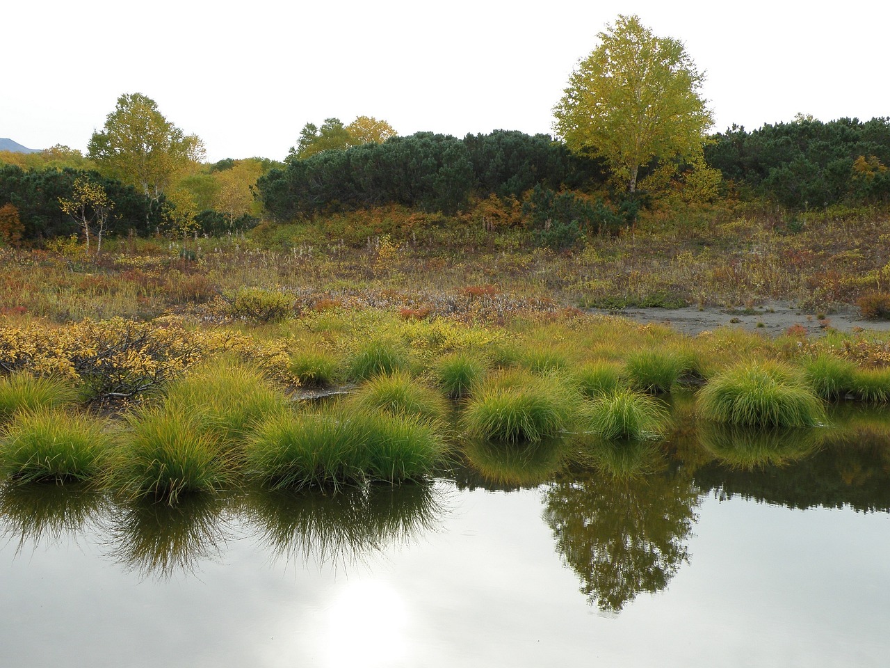 宜興徐舍最新職位招聘信息及人才吸引策略動(dòng)態(tài)