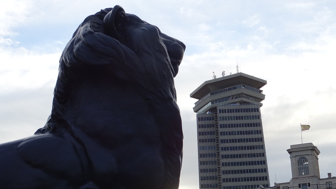 武岡最新動(dòng)態(tài),城市發(fā)展的脈搏與未來(lái)展望展望