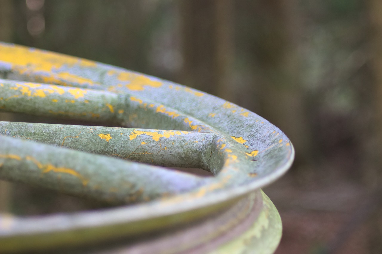 崔永剛最新動態(tài),聚焦焦點,展望未來發(fā)展