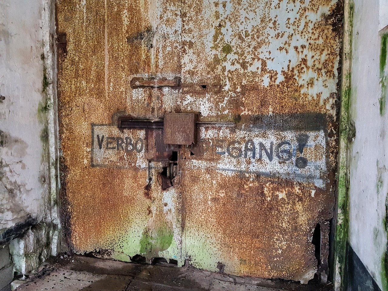 最新軍事觀察室深度解析全球軍事動(dòng)態(tài)視頻報(bào)道