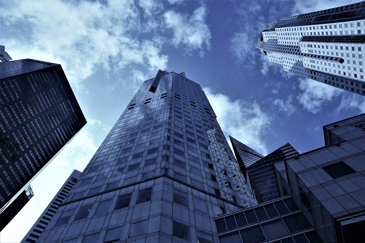 株式會社與上市公司的身份探索之旅,一場企業(yè)身份的旅程探索