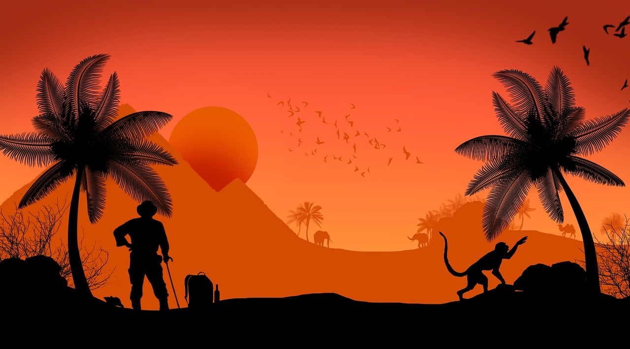 沙海電視劇,探索沙漠無垠與人生意義的旅程