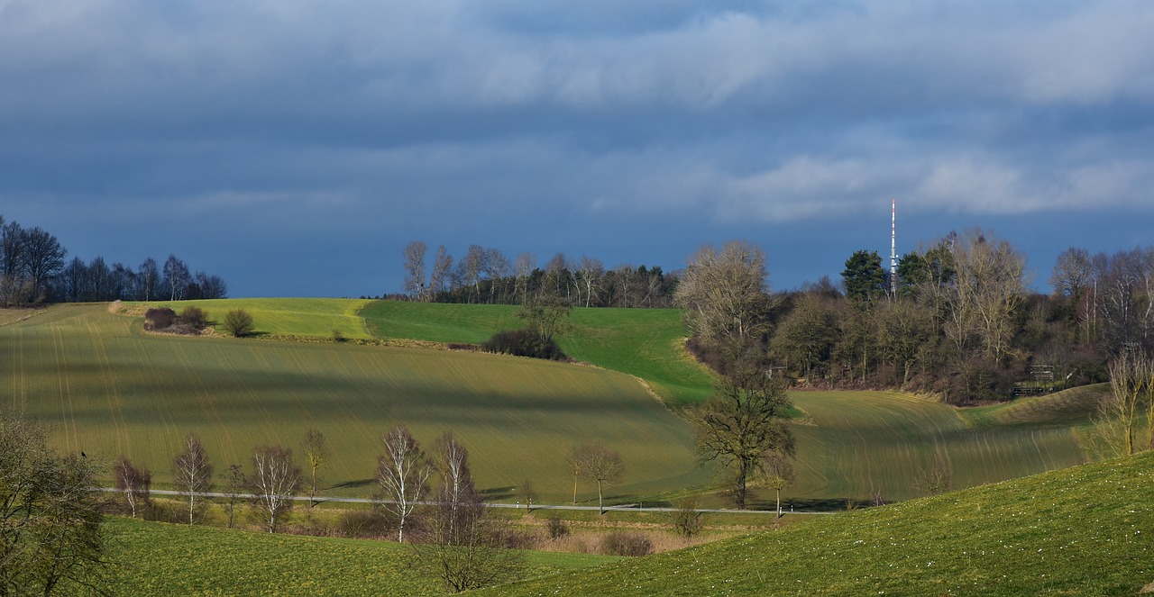 全球鉛價(jià)動(dòng)態(tài),影響因素、市場趨勢及未來展望分析