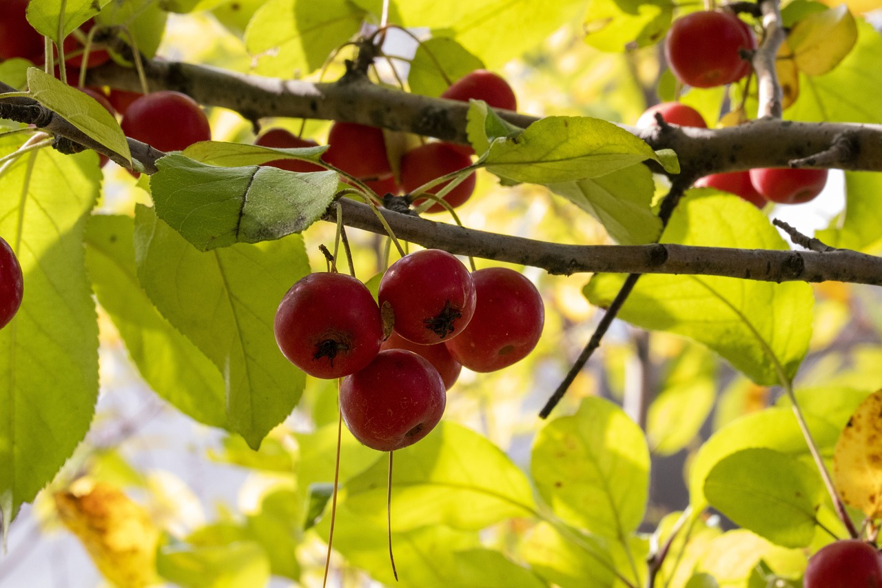 江門招聘網(wǎng)最新招聘動(dòng)態(tài)及其影響力