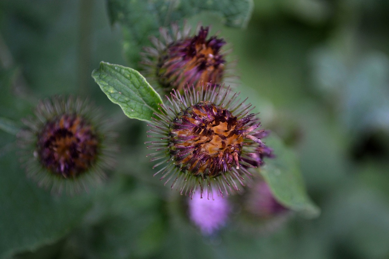 武鳴區(qū)最新疫情實(shí)時(shí)動(dòng)態(tài)更新