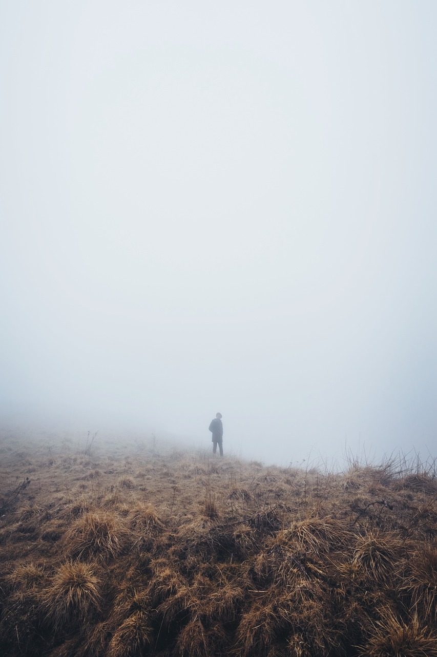 韓國(guó)中字電影，探索與賞析之旅