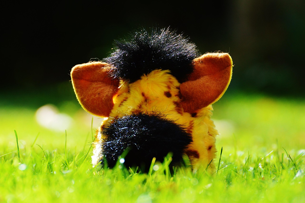 動(dòng)物動(dòng)漫人物，展現(xiàn)生命與情感的魅力風(fēng)采