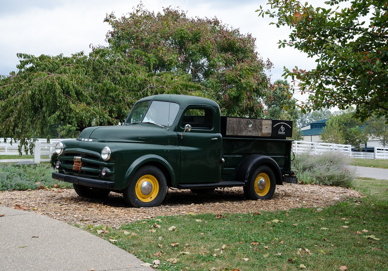 合肥新站區(qū)蓬勃發(fā)展，最新動(dòng)態(tài)資訊揭示區(qū)域新面貌