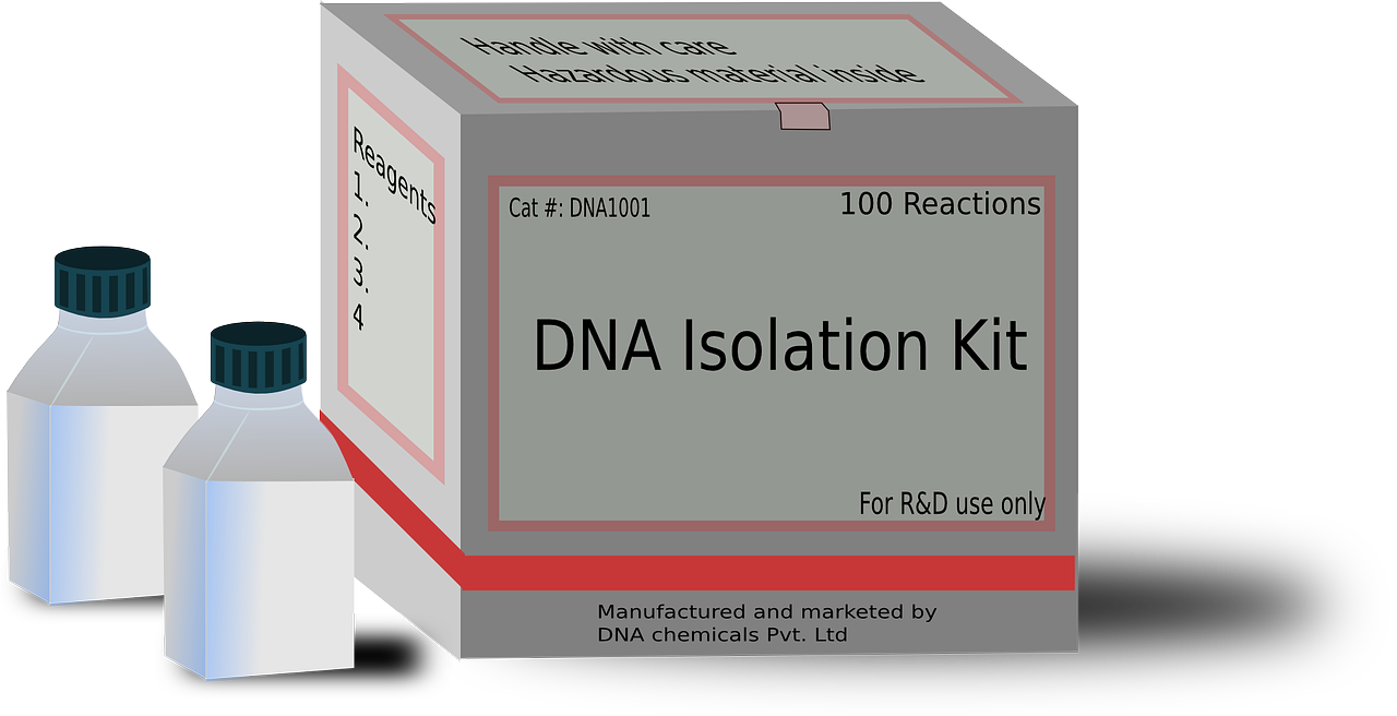 皮膚淀粉樣變最新療法的研究與應(yīng)用進(jìn)展