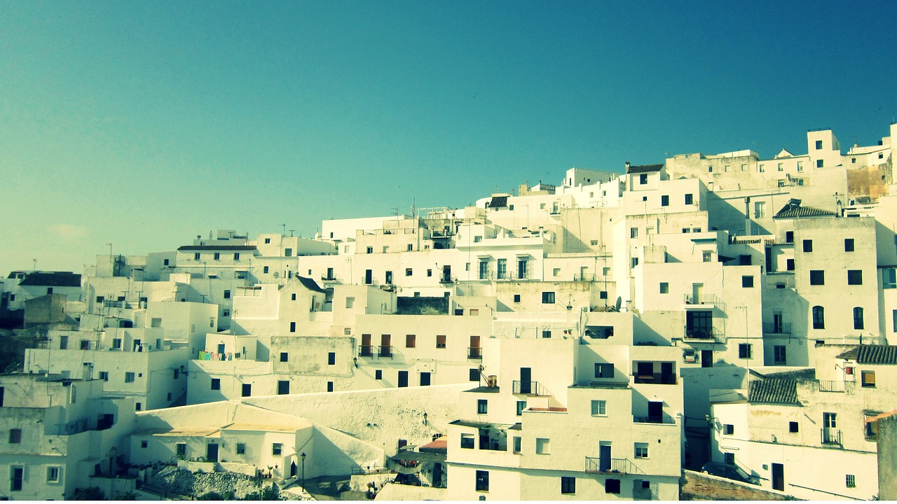 周口最新公告,城市發(fā)展與民生改善的新篇章啟動