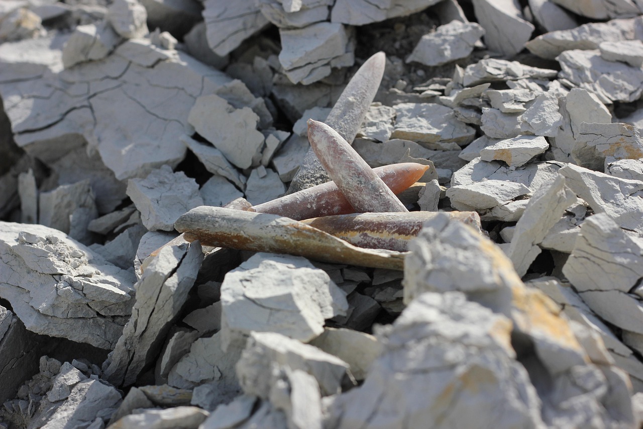 鄧晃平新動(dòng)態(tài),展現(xiàn)時(shí)代潮流與多元風(fēng)采的引領(lǐng)者