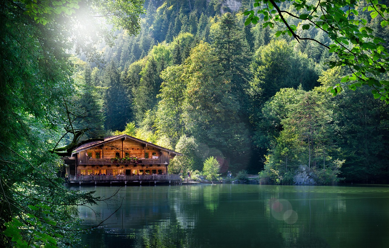 93唐最新資訊解讀，掌握風(fēng)采，洞悉動(dòng)態(tài)