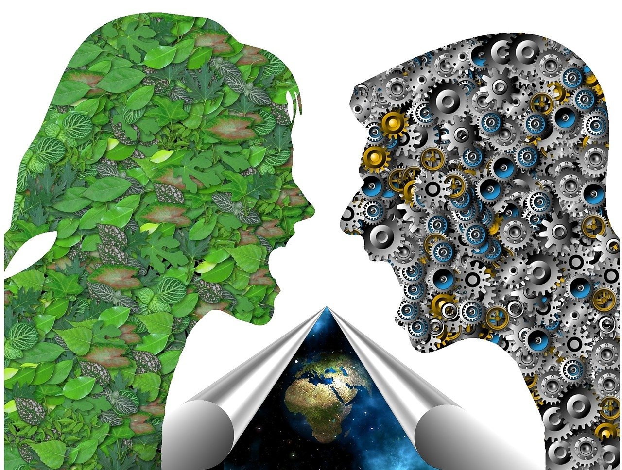 最新插件資源，探索、應(yīng)用與發(fā)展的前沿之旅