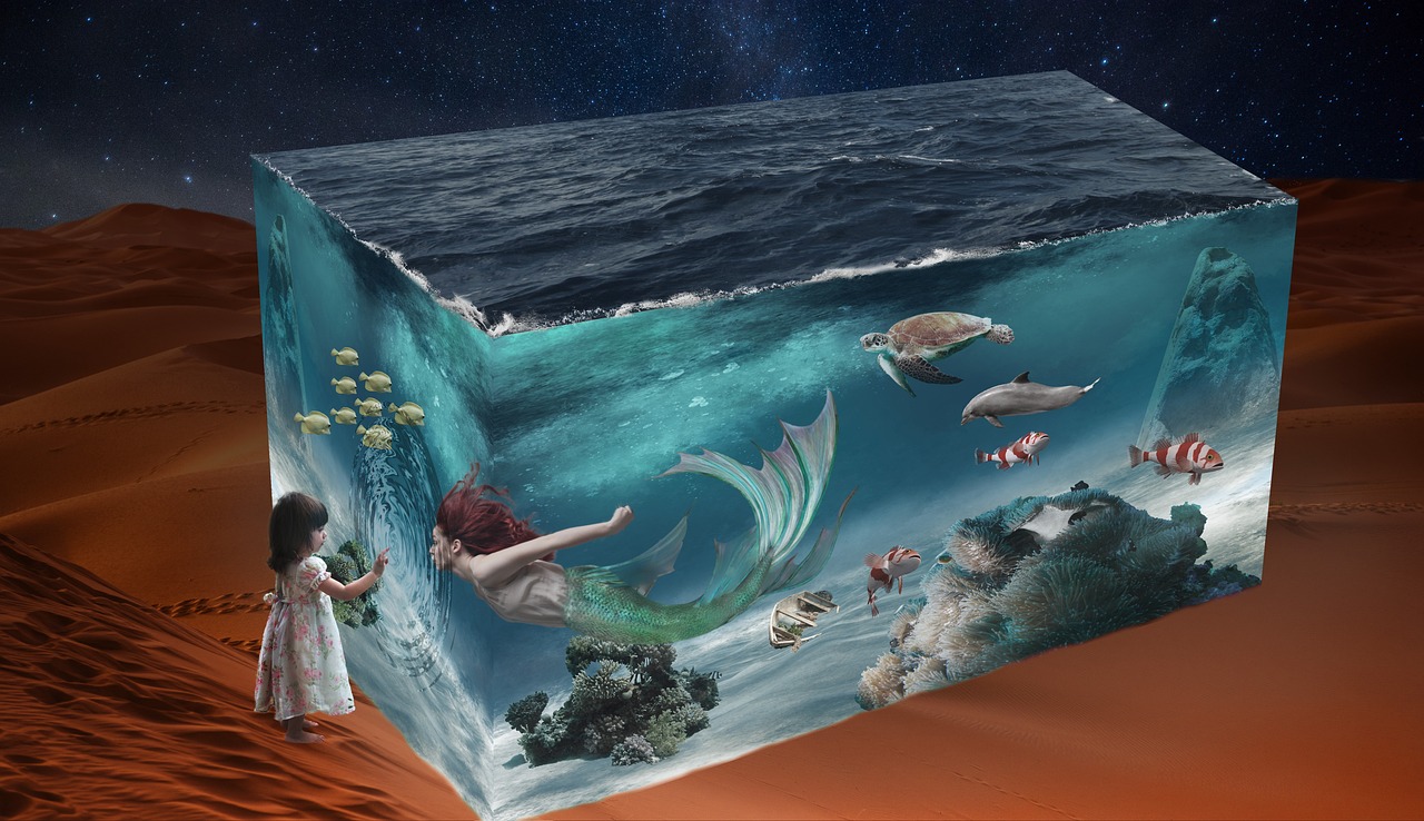 哥倫比亞大學(xué)最新動態(tài),引領(lǐng)創(chuàng)新,塑造未來教育之路。