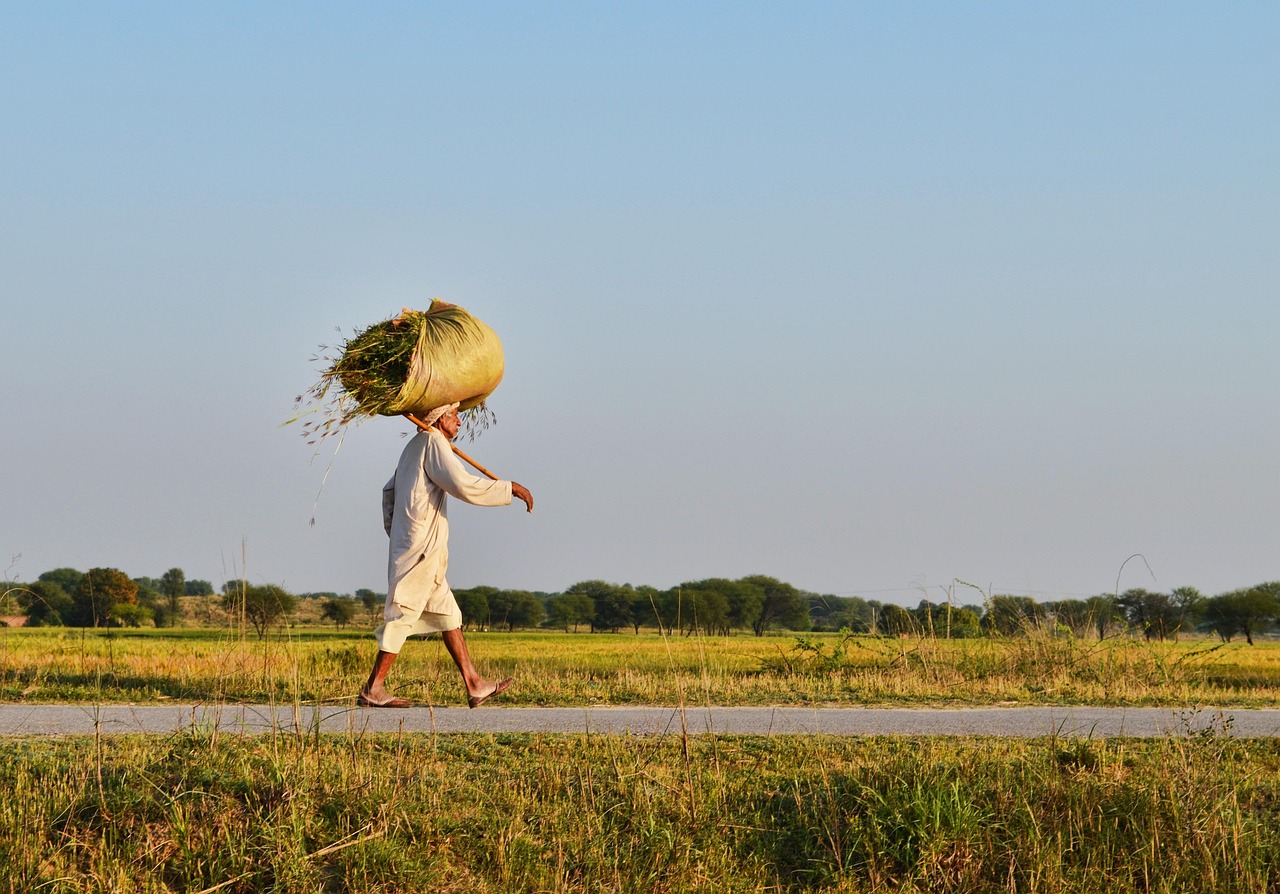 最新公園設(shè)計(jì)規(guī)范引領(lǐng)綠色生活新篇章