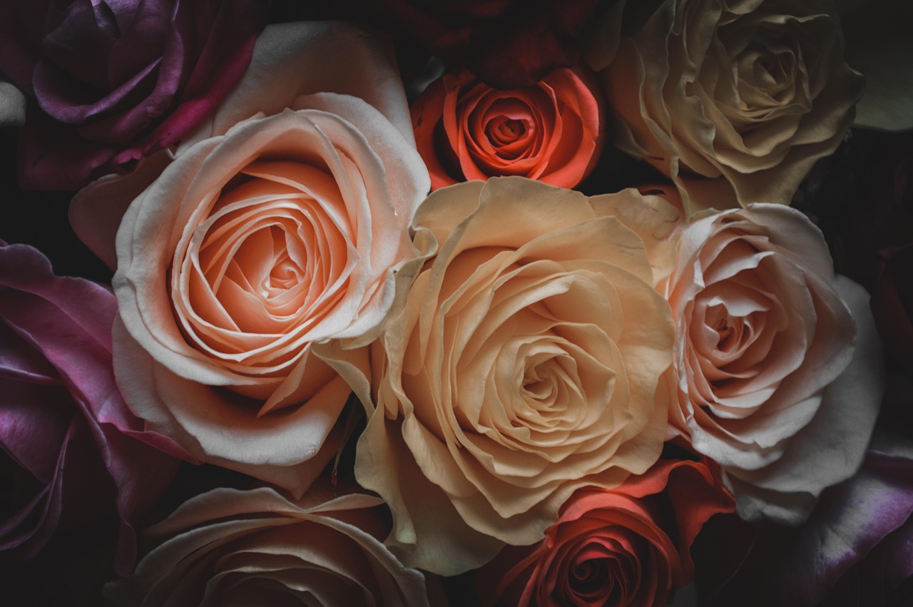 日本動漫小說的魅力與深遠影響