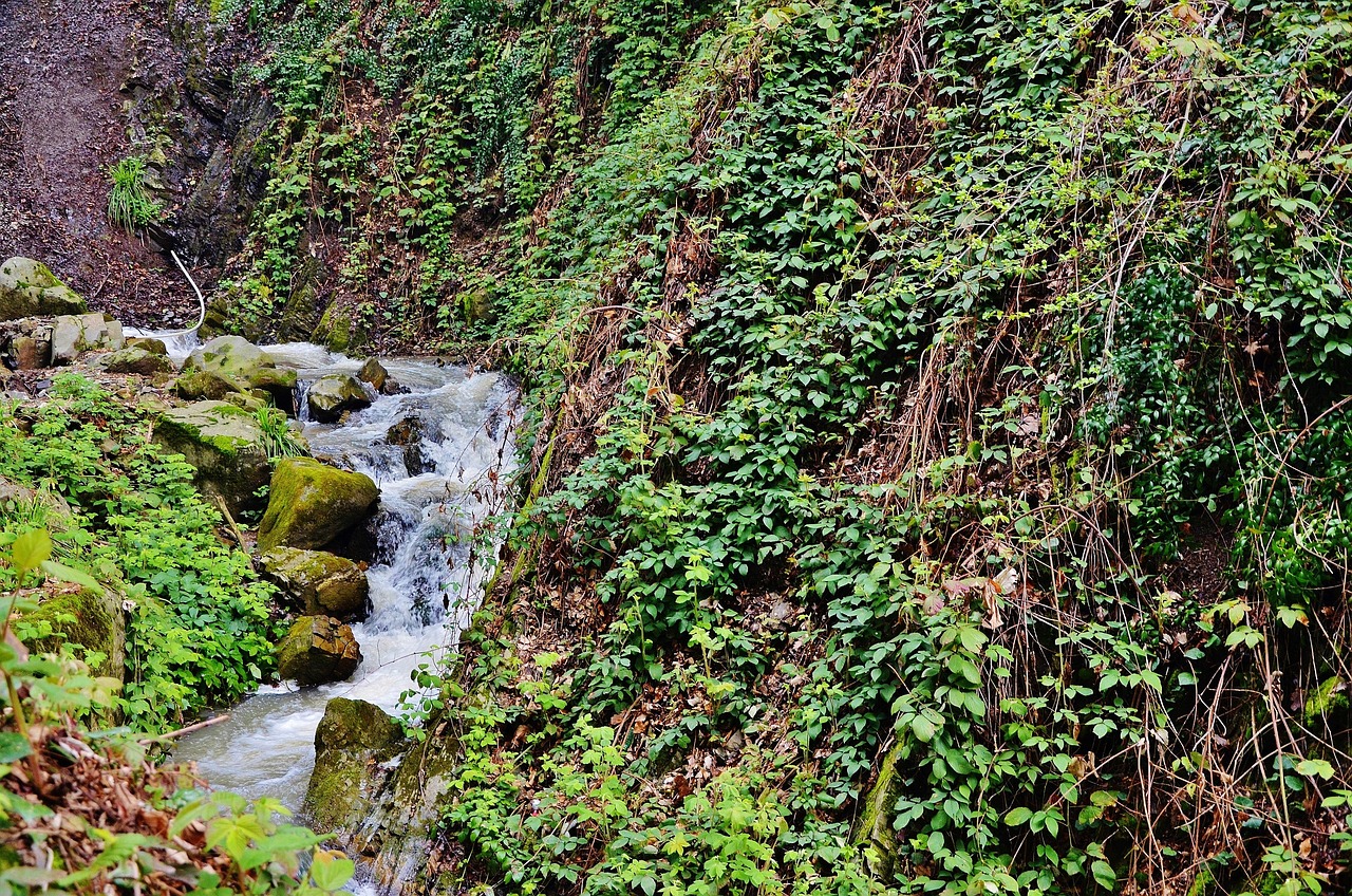 肥東眾水庫邁向可持續(xù)水資源管理的堅(jiān)定步伐最新動態(tài)
