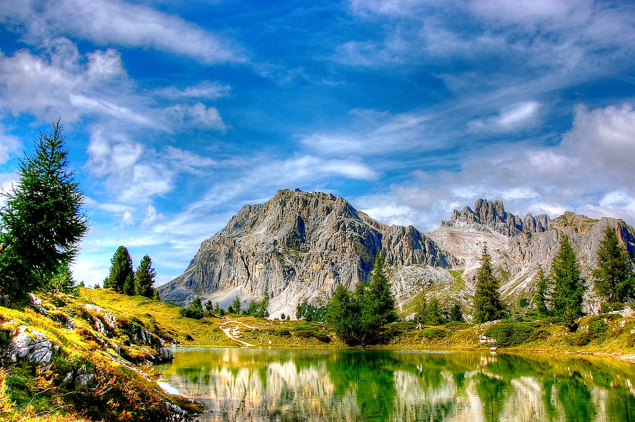 美國(guó)封城最新動(dòng)態(tài)，措施、影響及未來展望