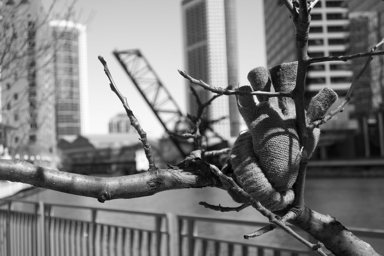 最新農(nóng)村感人電影，揭示真實(shí)鄉(xiāng)村生活與溫暖人心的故事