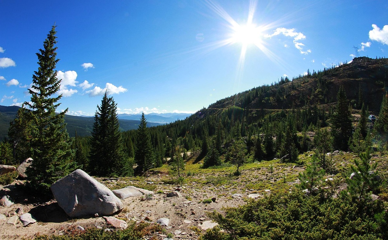 山東房貸政策動(dòng)態(tài)解析與研究報(bào)告