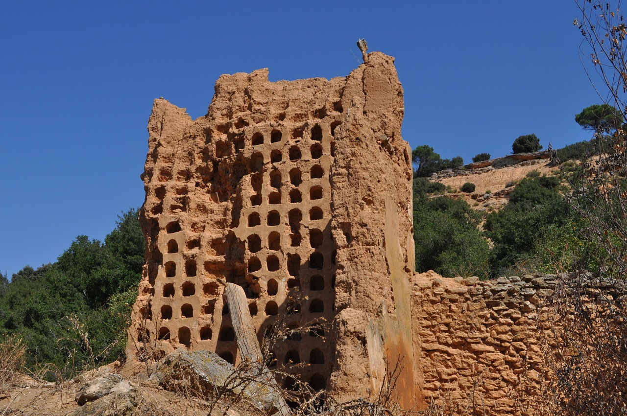 槍林彈雨中的小文最新動(dòng)態(tài)揭秘