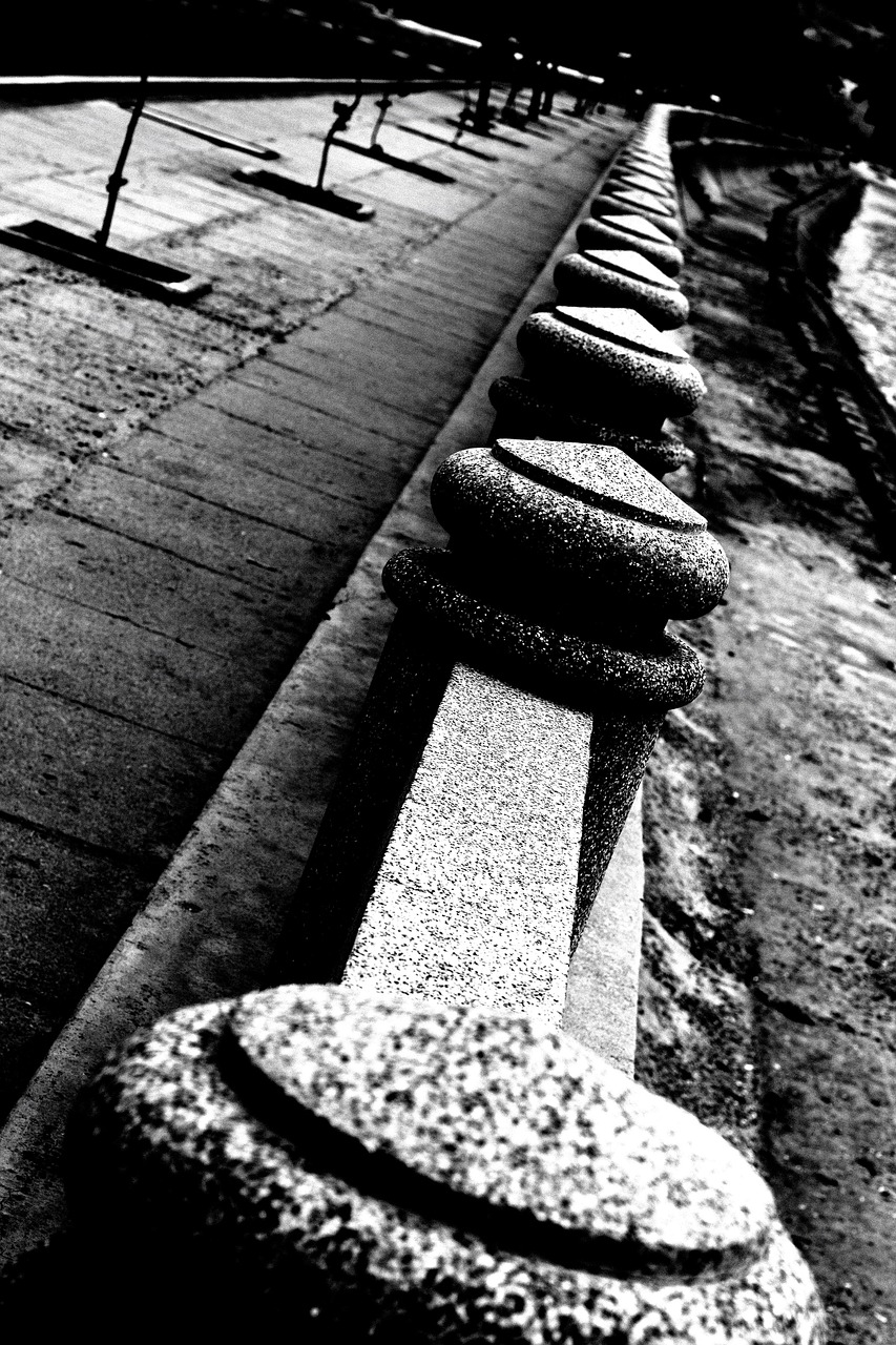 鄉(xiāng)村獵奇最新探索與發(fā)現之旅