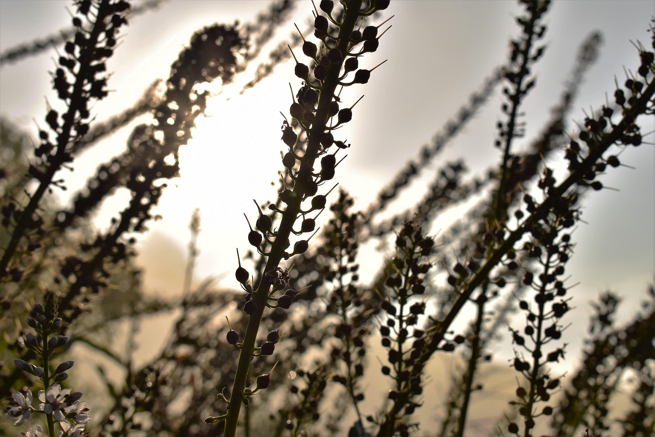 倫敦銀實(shí)時(shí)行情深度解析與最新動(dòng)態(tài)關(guān)注