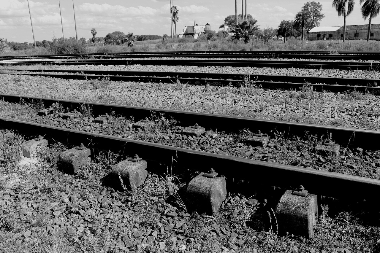 黔長(zhǎng)張鐵路最新進(jìn)展報(bào)告,施工進(jìn)展順利,工程穩(wěn)步推進(jìn)