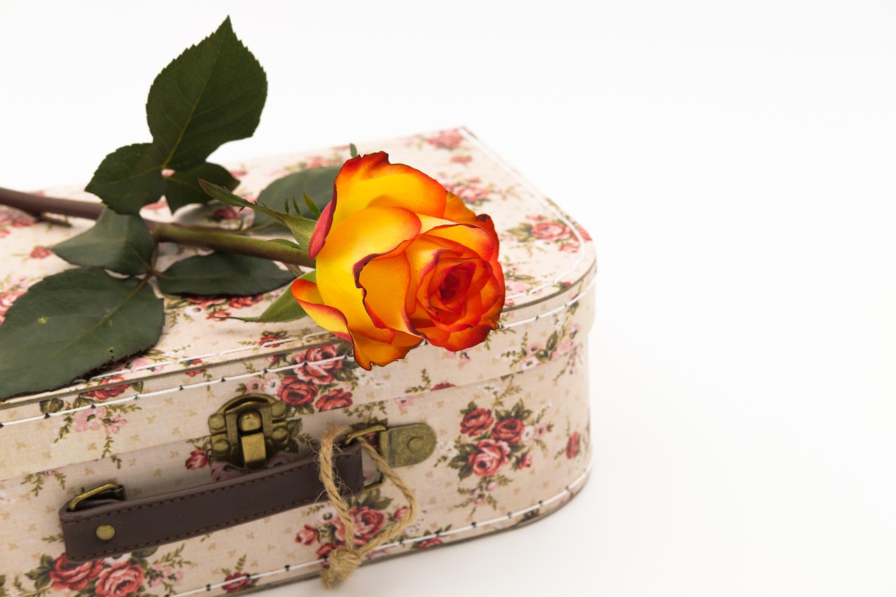 趙今麥新動(dòng)態(tài)，青春活力的綻放與前行步伐的記錄