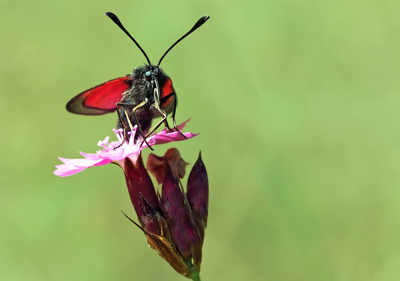 孝南區(qū)最新疫情動態(tài)更新報(bào)告
